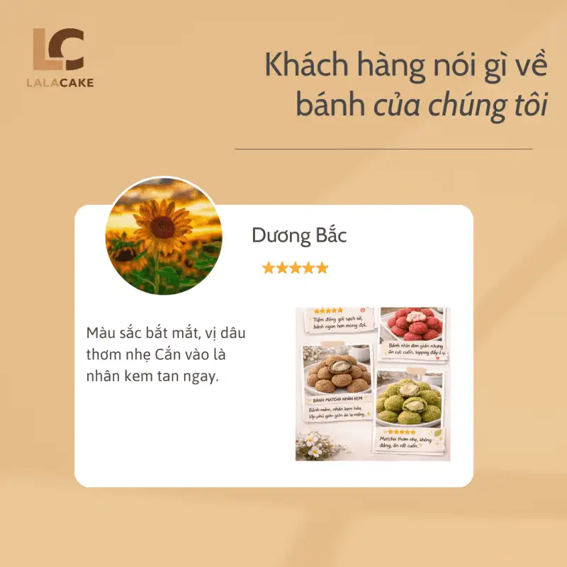 Đánh giá của khách hàng về chúng tôi